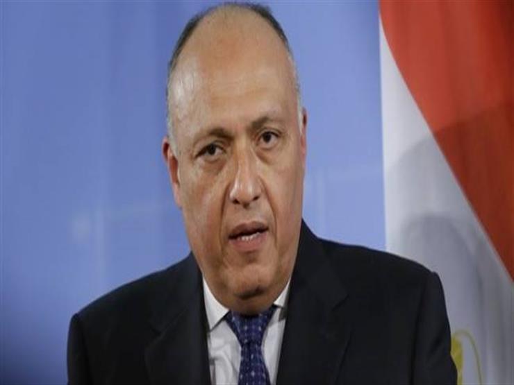 الخارجية: مصر تفوز بعضوية مجلس السلم والأمن الأفريقي 