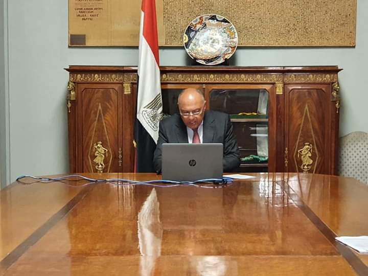 شكري: مصر فتحت المستشفيات للمرضى اليمنيين