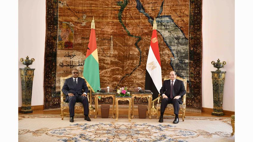 السيسي: شرفت بلقاء نظيري الغيني