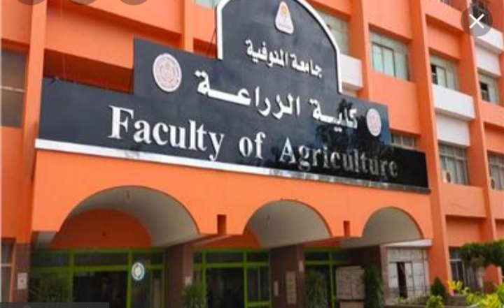 غدًا: زراعة المنوفية تحتفل بيوم الحقل السادس بمزرعة الراهب