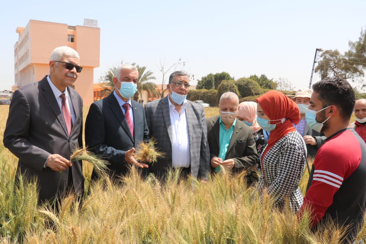 جامعة المنوفية تحتفل بيوم الحقل بمزرعة الراهب