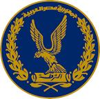الأمن العام يضبط مرتكب مجزرة قنا .. قتل 3 أشخاص