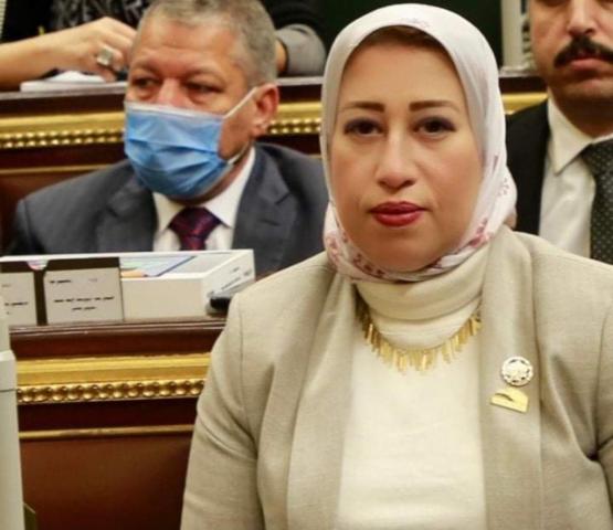 حبر على ورق.. برلمانية تتقدم طلب إحاطة بشأن عدم تطبيق عقوبات إلقاء المخلفات في الشارع