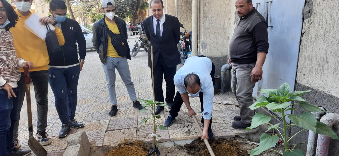 مبادرة كلية التكنولوجيا والتعليم جامعة حلوان للتشجير بأيدي الطلاب