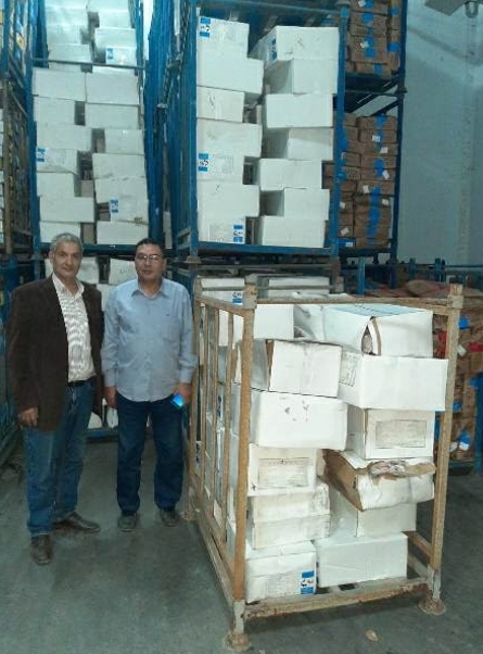 بيطري الشرقية يضبط 9 طن و 764 كجم جمبري منتهي الصلاحية خلال حملة تفتيشية بمركز بلبيس