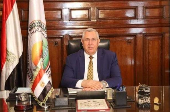 الزراعة: صادرات مصر من البطاطس تتجاوز ال 380 الف طن هذا العام وروسيا اكبر مستورد