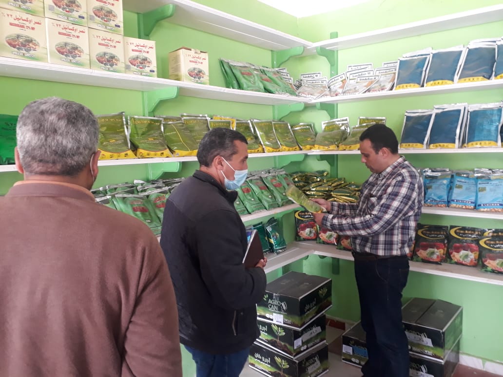 محافظ مطروح يتابع أعمال حصاد القمح وتوريده