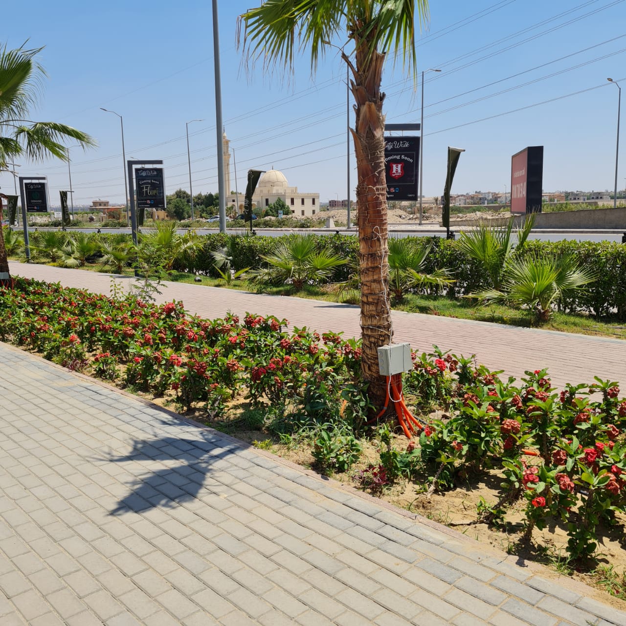 رئيس جهاز الشيخ زايد: الانتهاء من تنفيذ الممشي السياحى بطول ٦ كم بالواجهة الغربية كمتنزه لسكان المدينة