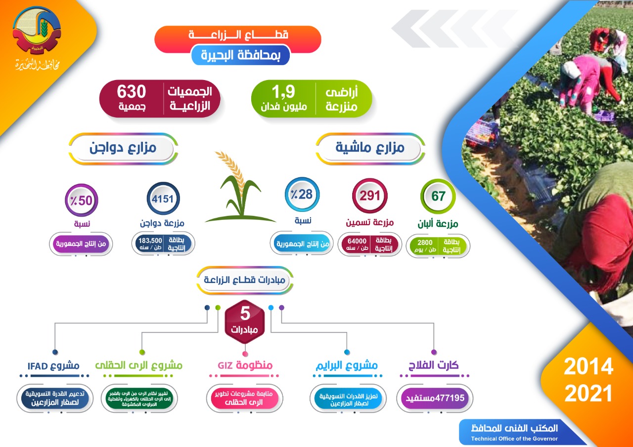 إنفوجراف قطاع الزراعة بالبحيرة : إجمالي الأراضي المنزرعة ١.٩ مليون فدان وتضم ٦٣٠ جمعية زراعية