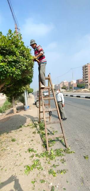 بمناسبه دخول عيد الاضحي حمله تنظيف وتطهير في أرجاء محافظه الشرقيه