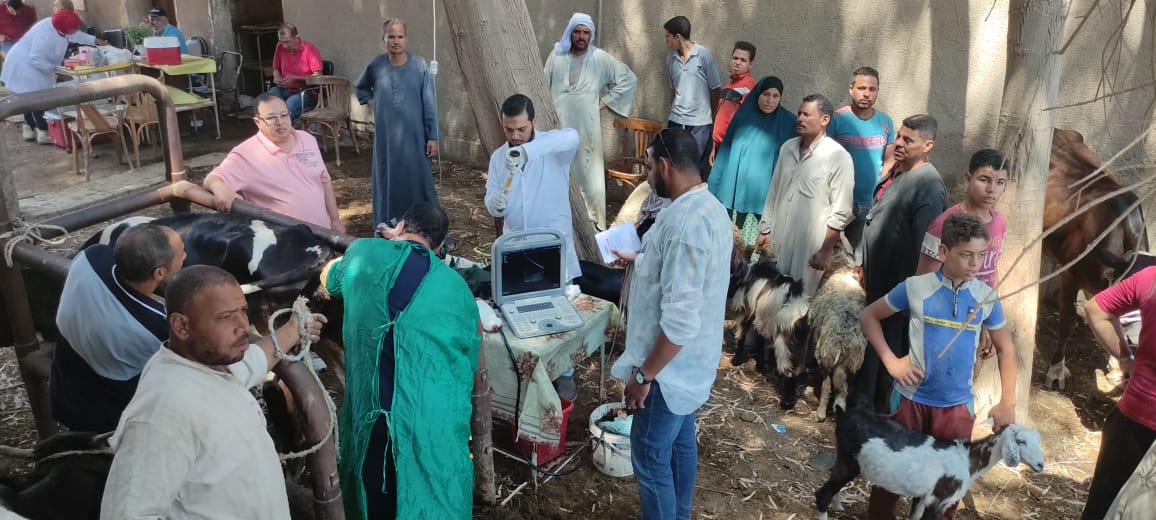 الزراعة: معهد التناسليات الحيوانية ينظم قوافل بيطرية مجانية في القرى الاكثر احتياجا بمحافظة الفيوم