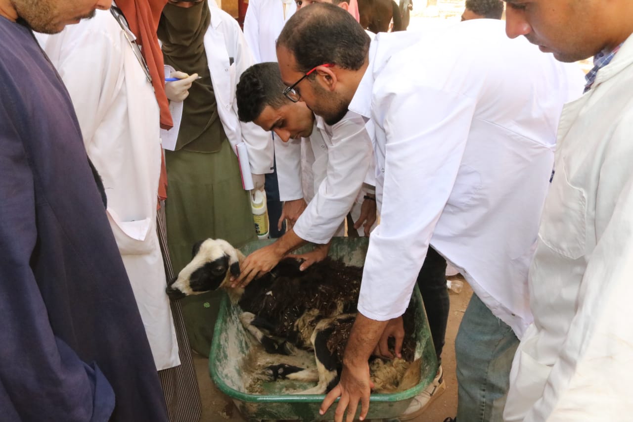 خدمات متنوعة لقافلة جنوب الوادي بقرية الصبريات بدشنا