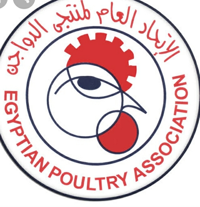 أسباب ارتفاع أسعار البيض وموعد انخفاضها