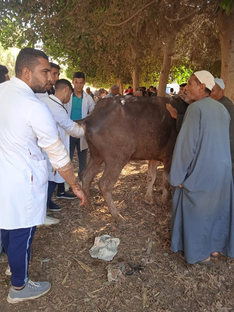 جامعة مدينة السادات تشارك بقافلة طبية بيطرية وزراعية بقرية سلامون بحرى المنوفية