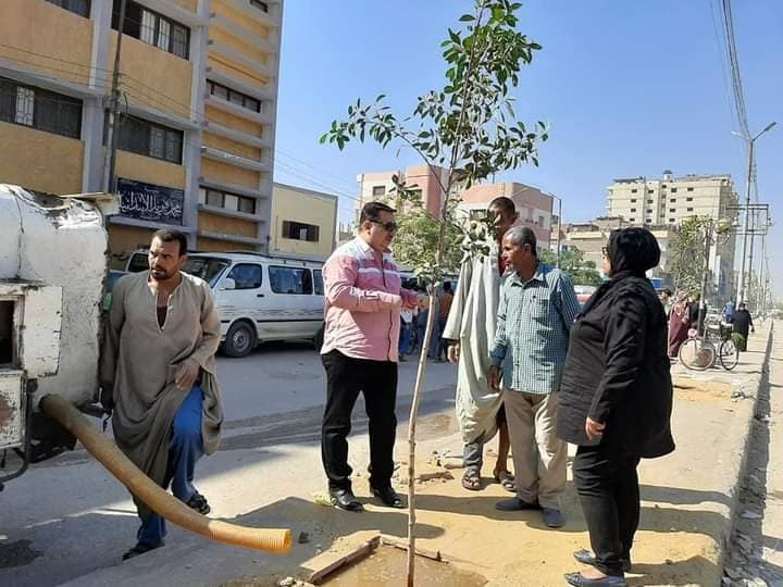 زراعة 510 شجرة على الطرق والشوارع وأمام المدارس بحي غرب سوهاج