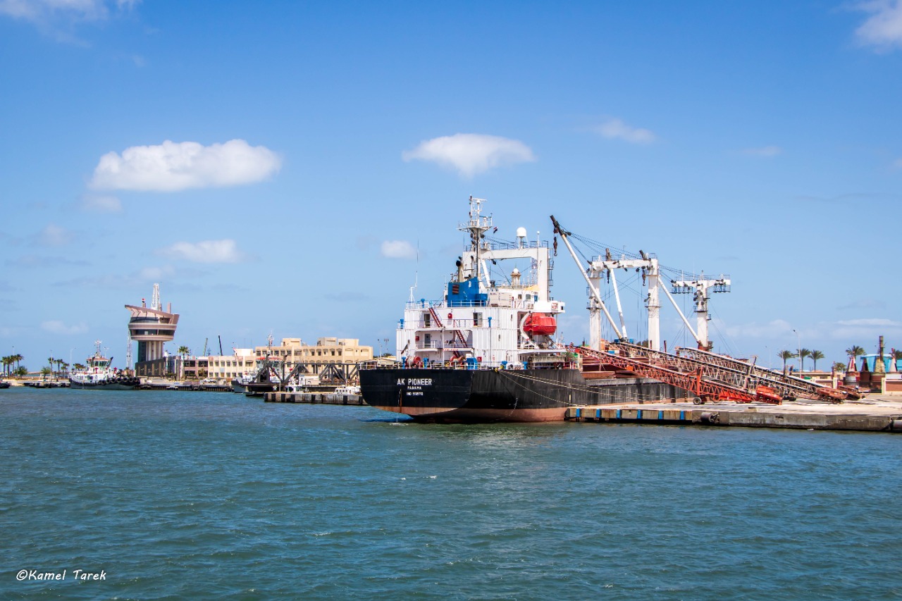 ٢٦ سفينة و ٣٤٣٧ شاحنة  على أرصفة ميناء دمياط
