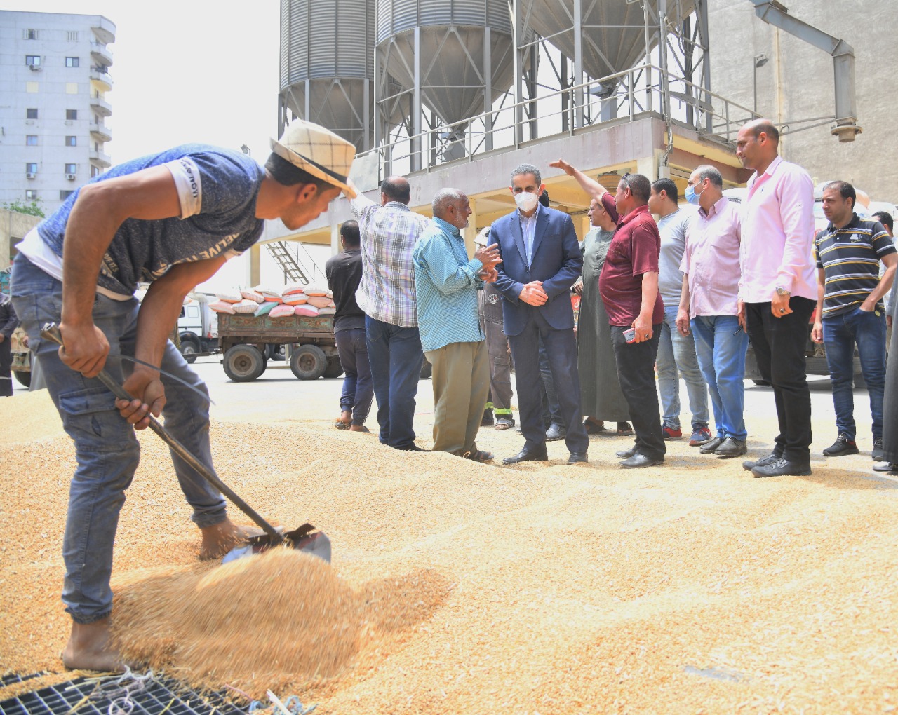 محافظ الغربية يتفقد توريد القمح بصومعة طنطا المعدنية
