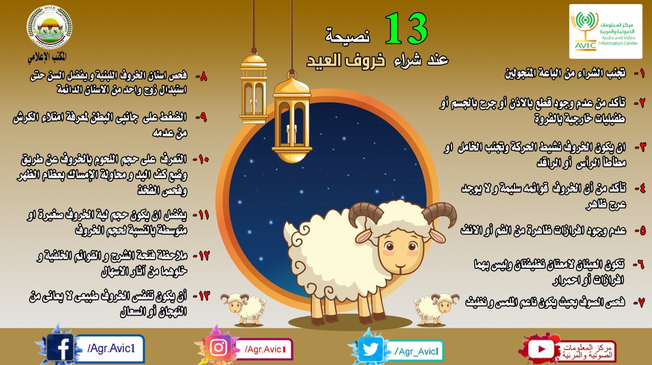 بالانفوجراف ١٣ نصيحة  عند شراء خروف العيد