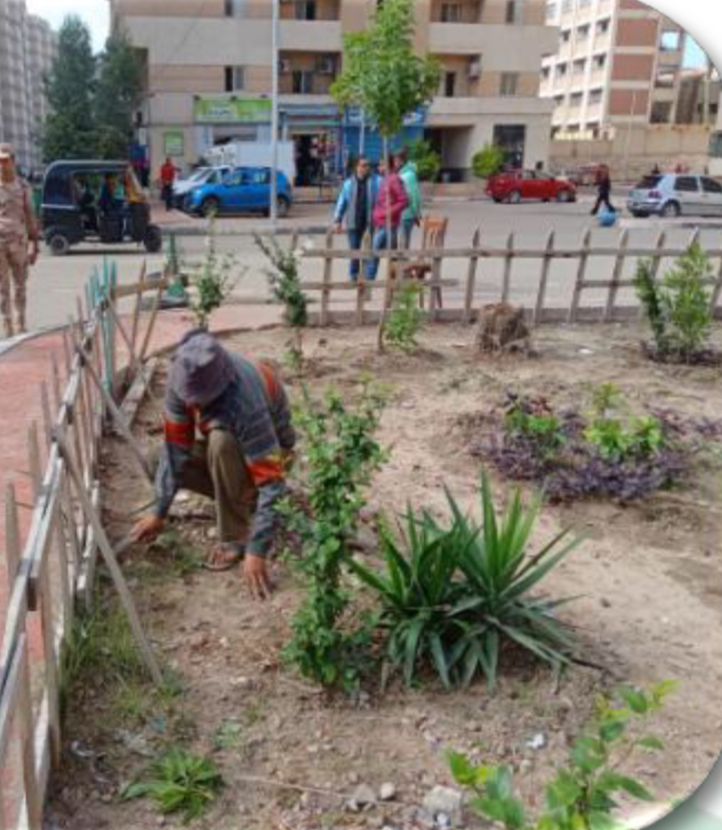 محافظ الإسكندرية :  زارعة 30396 شجرة منذ بدء تنفيذ مبادرة 100 مليون شجرة