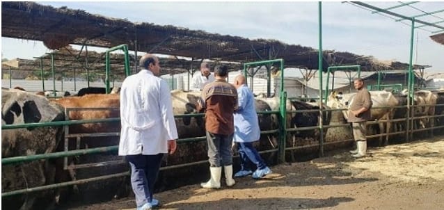 بيطري الشرقية يُحصن 121 ألف و 746 رأس ماشية للوقاية من مرض الحمى القلاعية والوادي المتصدع
