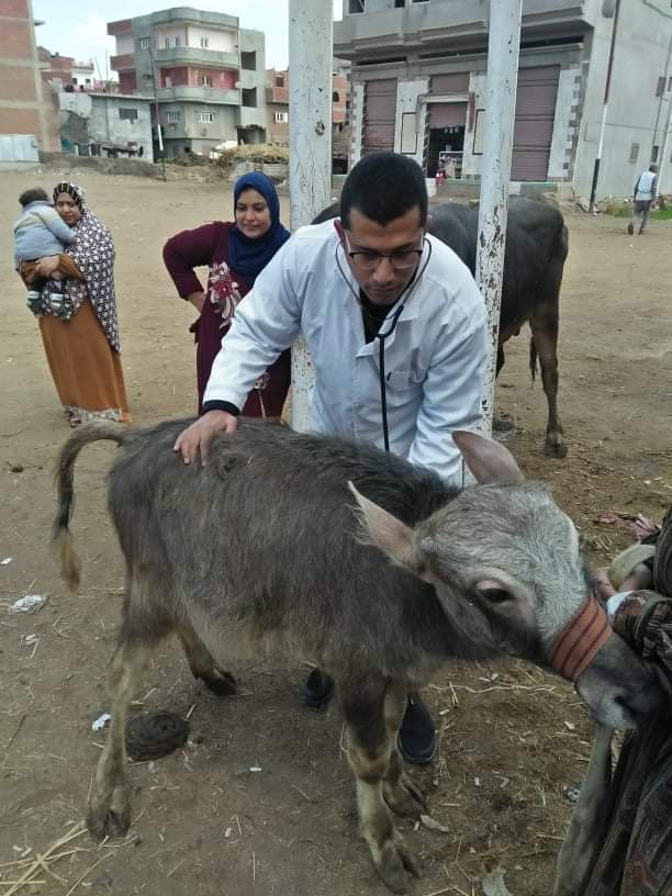 جامعة الزقازيق توجه قافلة بيطرية لقرية كفر أبو الديب مركز  الإبراهيمية بمحافظة الشرقية