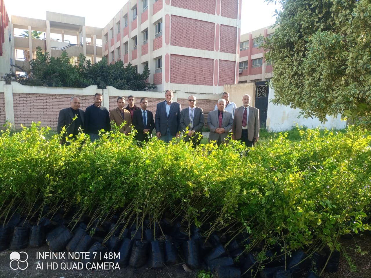 تعليم كفر الشيخ يتسلم 1000 شجرة مثمرة لزراعتها بالمدرسة ضمن مبادرة 100 مليون شجرة