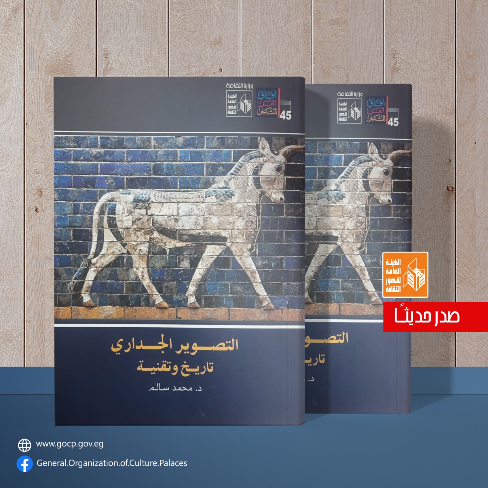 التصوير الجداري.. تاريخ وتقنية لمحمد سالم.. كتاب جديد لقصور الثقافة