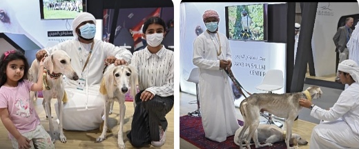 السلوقي العربي حاضر بمعرض أبوظبي الدولي للصيد والفروسية