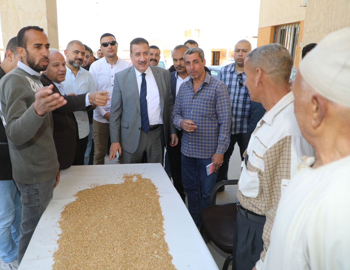 محافظ المنوفية : غلق 5 منشآت لتصنيع وخلط الأعلاف أسبوعين لضبط أكثر من 5 طن قمح