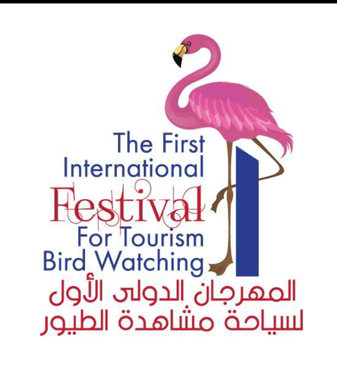 إنطلاق التحضيرات لأضخم مهرجان سياحة مشاهدة الطيور في الفيوم: تفاصيل اجتماع تنظيمي حاشد