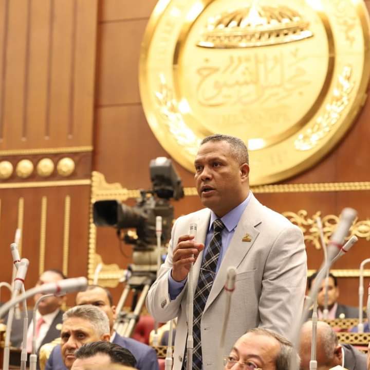 النائب محمد حمزه: زيارة رئيس الوزراء لشمال سيناء رسالة للعالم اجمع