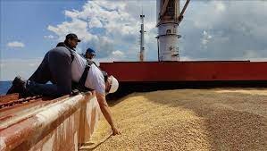 اوكرانيا تعلن استعادة قدراتها فى تصدير الحبوب وتأمين احتياجات العالم
