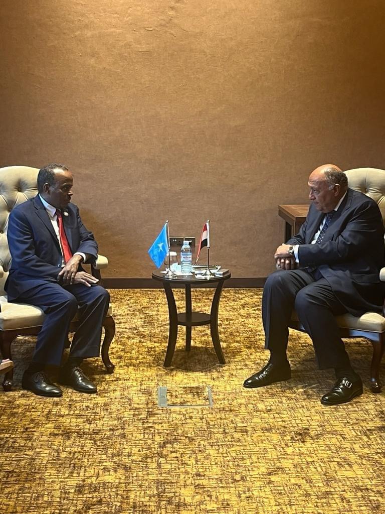 وزير الخارجية يلتقي القائم بأعمال وزير خارجية الصومال