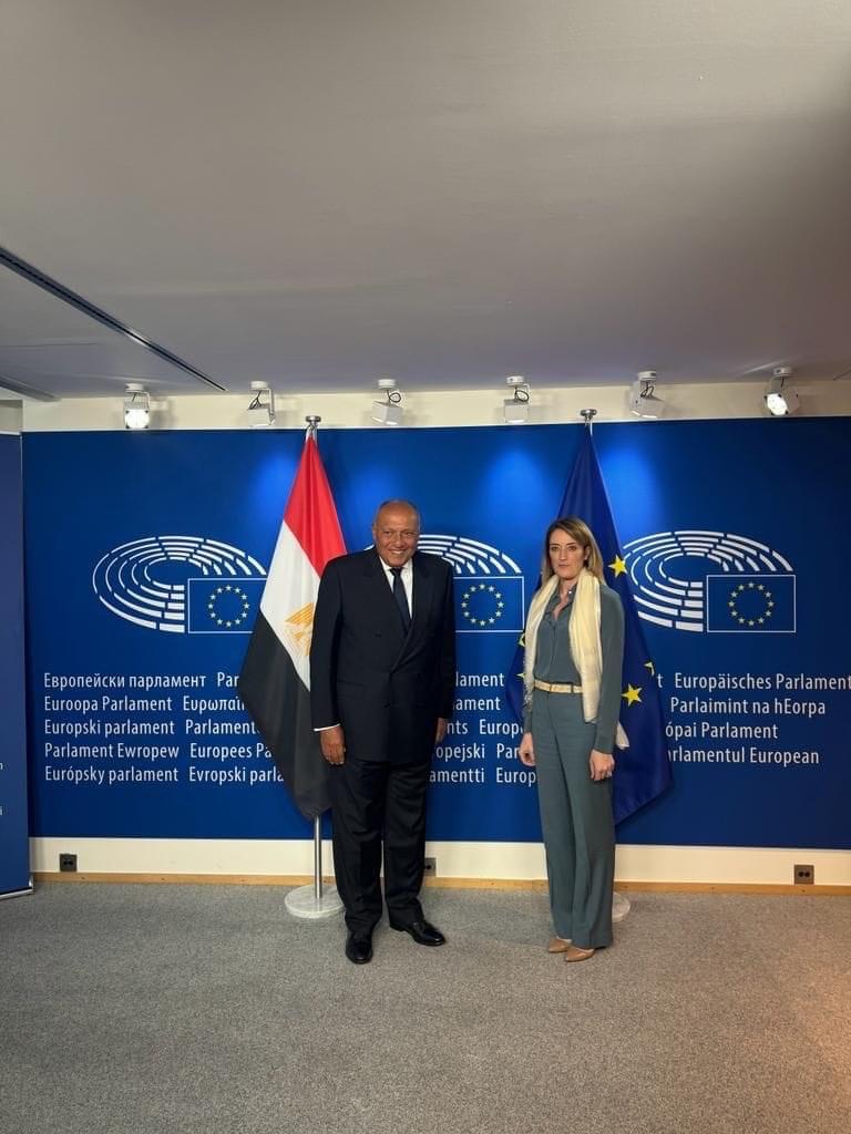 وزير الخارجية يؤكد أهمية تعزيز الحوار البناء والموضوعي بين مصر والبرلمان الأوروبي على أسس الصداقة والاحترام المتبادل
