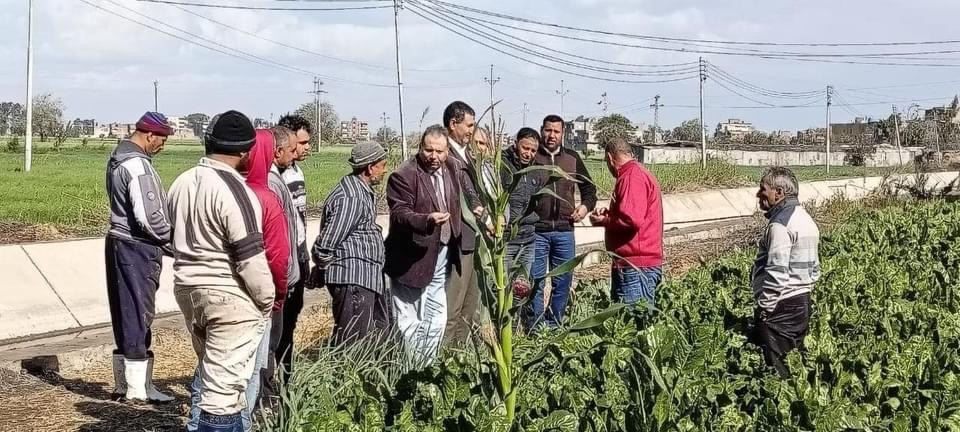 محافظ كفرالشيخ: إنطلاق قوافل إرشادية لتوعية المزارعين وتحقيق أعلى إنتاجية للمحاصيل الزراعية