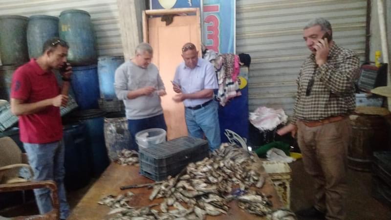 محافظ كفرالشيخ: ضبط 700 كجم أسماك مملحة غير صالحة للإستهلاك الآدمى بفوه
