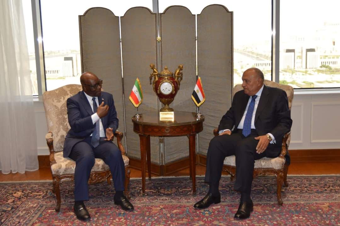 سامح شكري يستقبل وزير الخارجية والتعاون الدولي بجمهورية غينيا الاستوائية