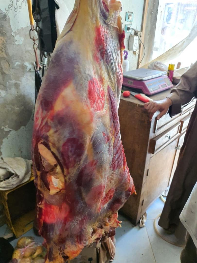 محافظ كفرالشيخ: تحرير 32 محضرًا تموينيًا وضبط 250 كجم أسماك مملحة غير صالحة للاستهلاك الآدمي بفوه