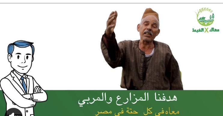 "الزراعة" تطلق حملة "معاك في الغيط" للتوعية والإرشاد الزراعي والانتاج الحيواني عبر السوشيال ميديا