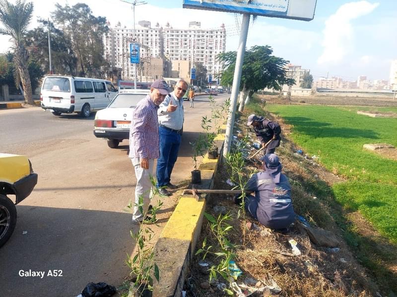 محافظ كفرالشيخ: استمرار زراعة الأشجار بدسوق ضمن المبادرة الرئاسية "100 مليون شجرة"