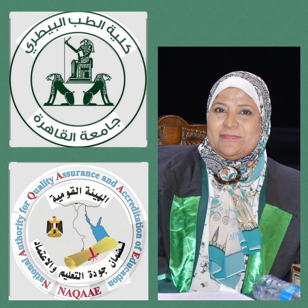 تجديد الاعتماد المؤسسى والاعتماد البرامجى لكلية الطب البيطرى جامعة القاهرة من الهيئة القومية لضمان جودة التعليم والاعتماد